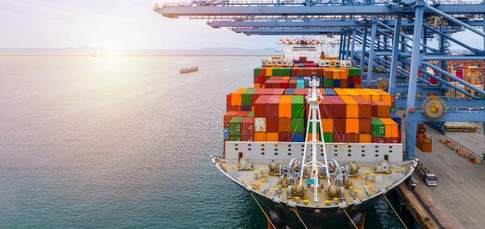 Cargo Port