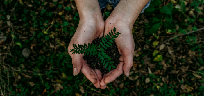 Sustainable procurement