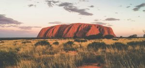 NT Government