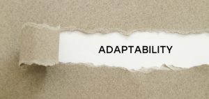 Adaptability