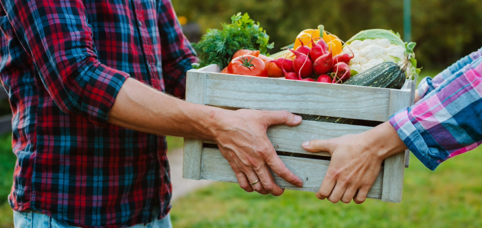 public food procurement